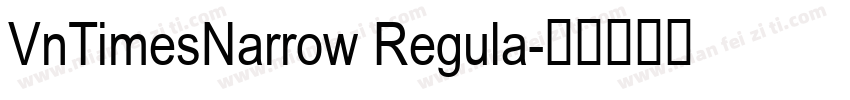 VnTimesNarrow Regula字体转换